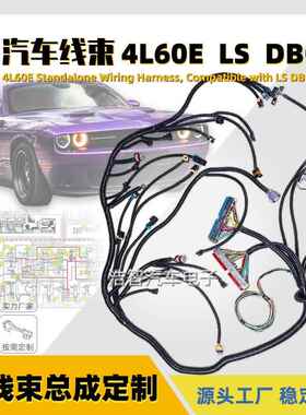 LS14L60EDBC发动机线束4.85.36.0VORTECDRIVEBYCABLE