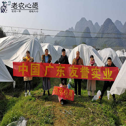 农业防水布 透气超轻果树防雨水白色PP45克农业防水布 厂家批发
