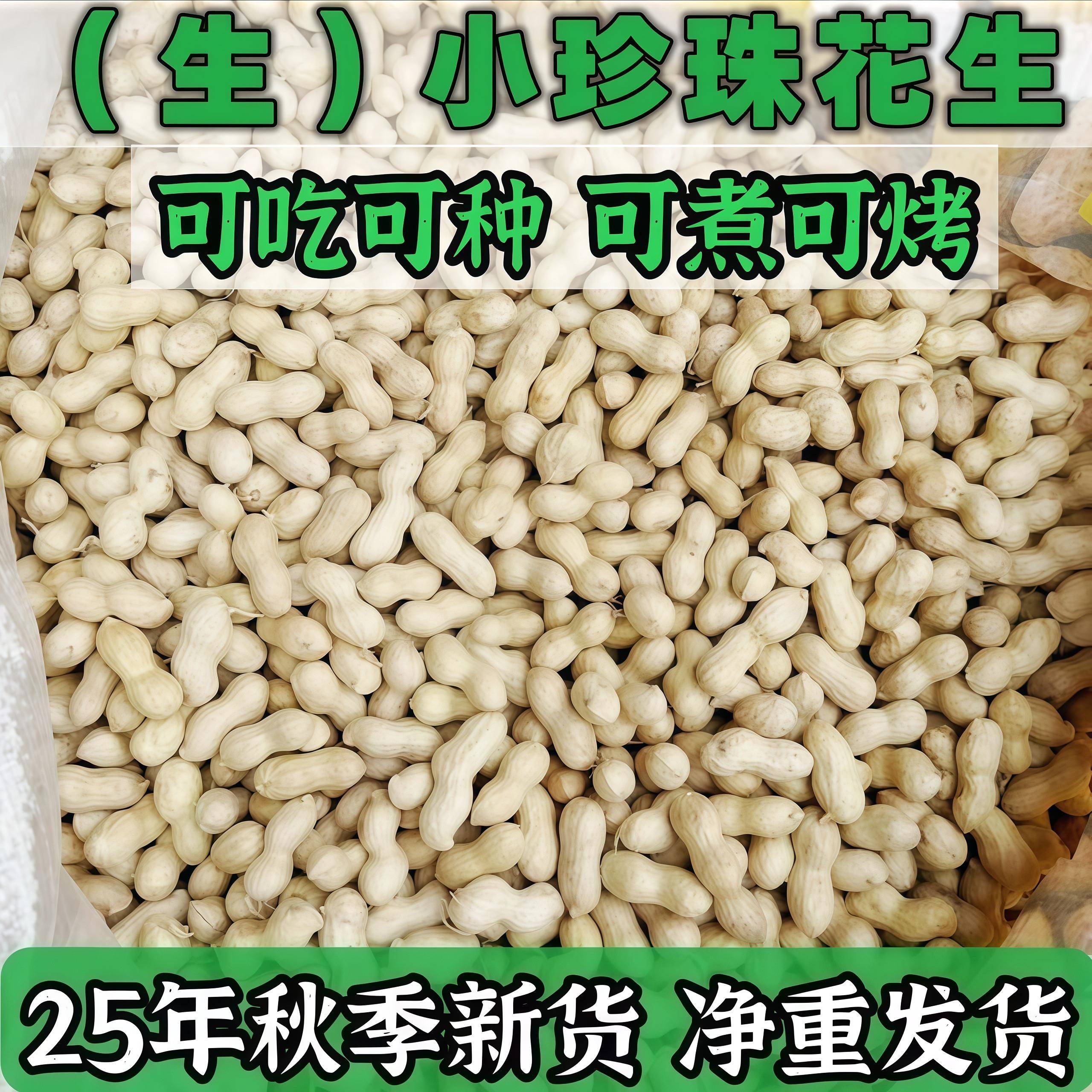新货当季带壳珍珠小花生新鲜采摘自然晒干小花生带皮生花生净重1