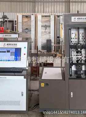 厂家直销WST-TP10/20微机控制立式机械式弹簧疲劳耐久试验机曲线