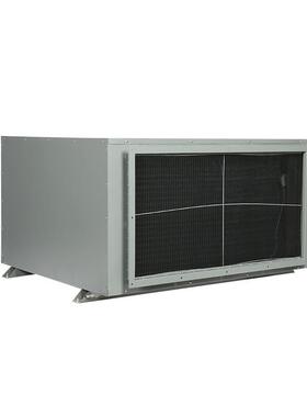吊顶工业除湿机别墅STJ-20GD仓库抽管湿器大型车间商用道家用壁挂