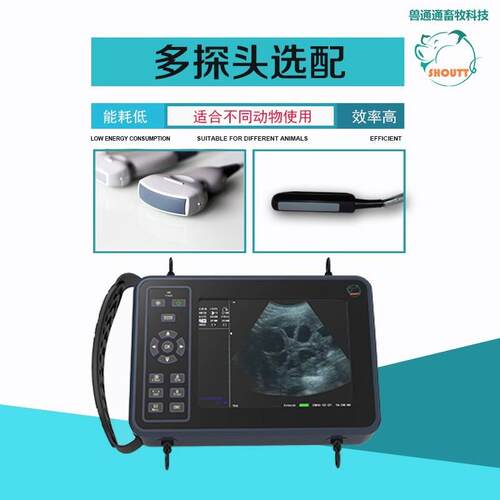 携兽用超机猪羊牛用Bb超测孕仪器猪用比超清机畜牧机高DWK便检
