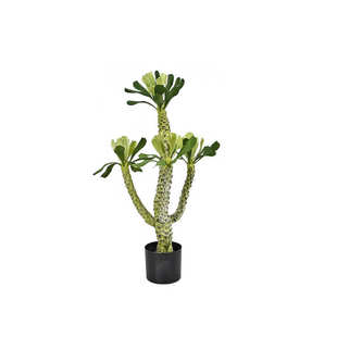 仿生 绿植霸王鞭沙生植物软装造景工程厂家直发仙人掌 柱 霸王鞭