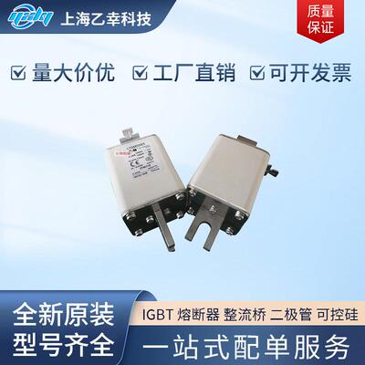 巴斯曼熔断器 170M5983 170M5984 170M5985 170M5986 170M5987