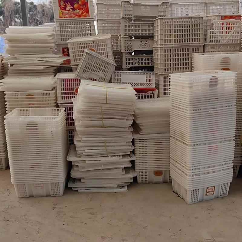 发快递活禽塑料含盖套装运输框塑料筐菜筐大号水果篮不易坏泰龙筐