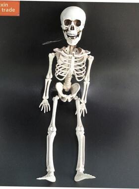 Halloween skeleton haunted decoration Props 40cm Pendant摆件