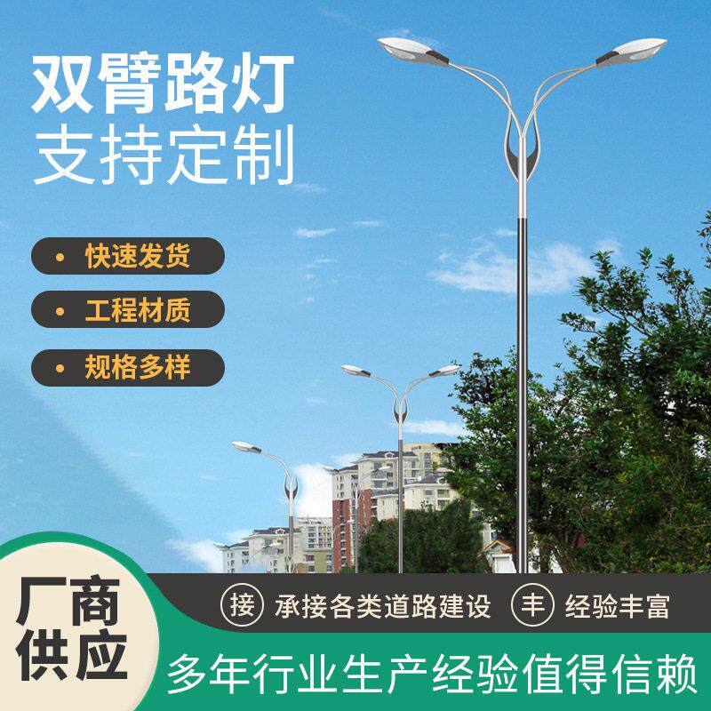 双臂路灯街道led电路灯厂商农村供货市政道路多规格灯具户外