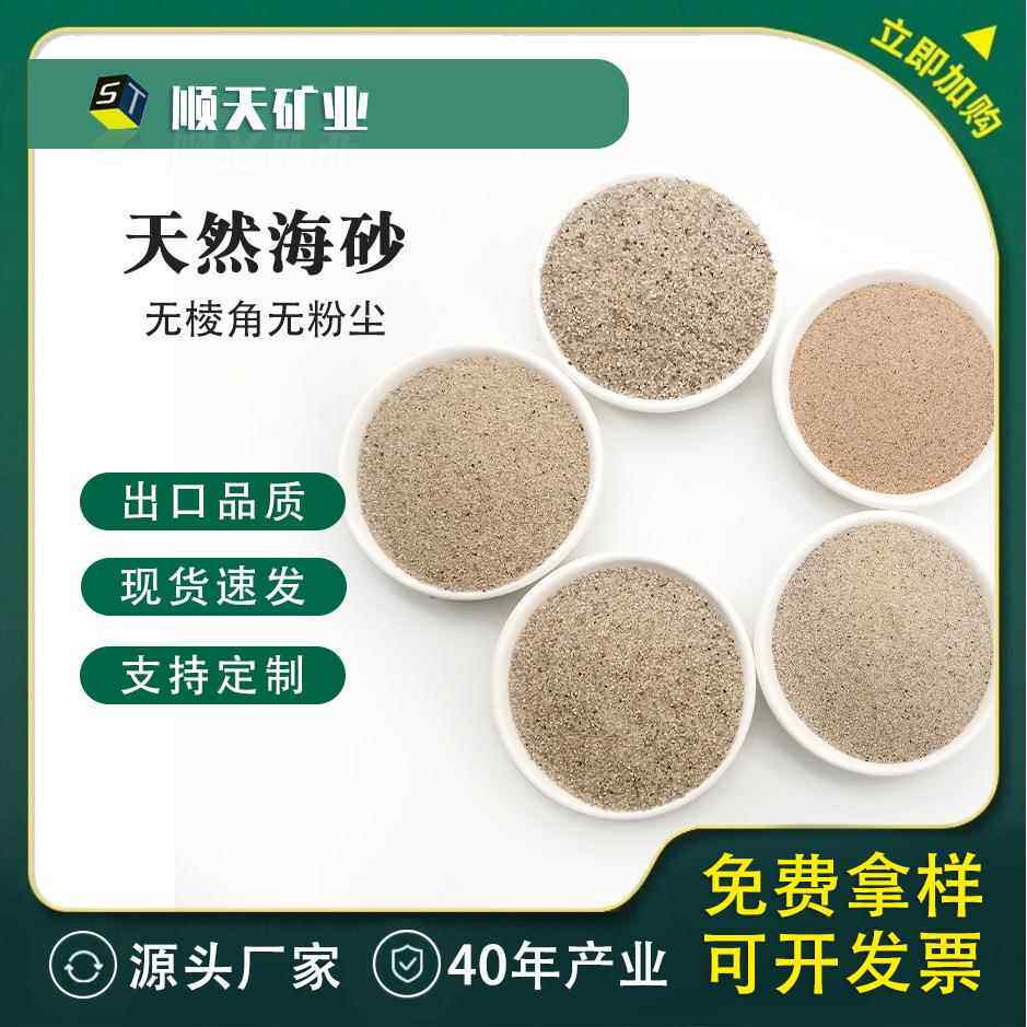 海砂儿童娱乐圆粒砂地面造景水洗海沙铺面砂细砂沙池填充喷砂