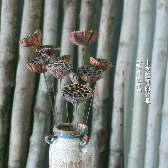 干花真杆带莲子干莲蓬铁杆莲蓬植物落地真莲蓬大莲蓬拍摄道具