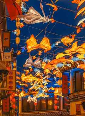 DOF金花灯大海棠豫园鱼笼网红鱼鱼灯鱼笼户外灯防水彩灯古镇街道