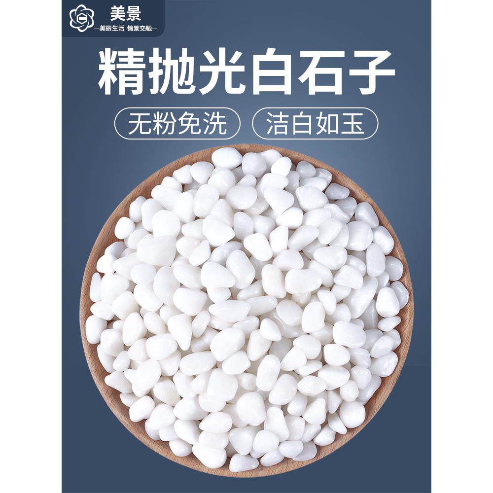 50斤白石子砾石白色鹅卵石庭院铺地阳台造景石子花园露营小白石头