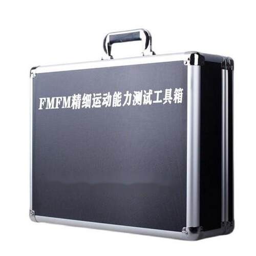 FMFM量表