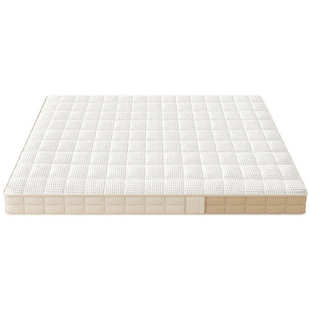 全拆可视床垫薄弹簧床垫10cm15公分12乳胶记忆棉家用高箱床席梦思