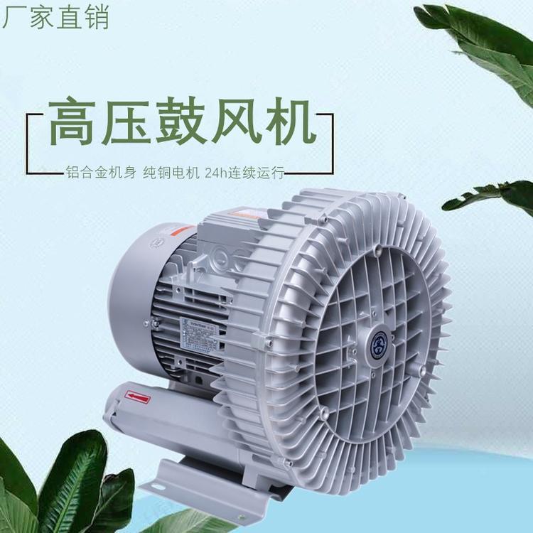 0.85kw单相旋涡环形工业高压鼓风机RB-51D-A1漩涡式气泵220V