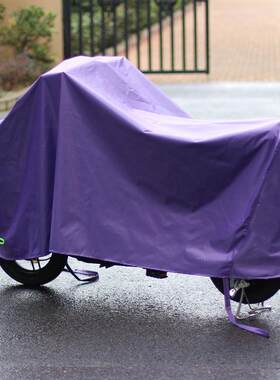 车衣电动车防雨电车全罩车罩电瓶车防雨罩摩托车遮雨罩罩子防水罩