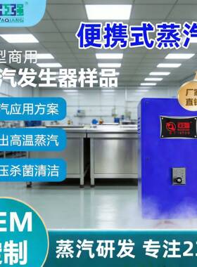 温小型蒸汽发生器电磁泵供水酒店布草洗涤洗浴供热商用蒸汽机