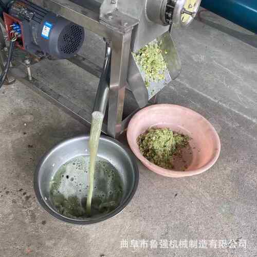 杨梅李子去核榨汁机果酒酒厂榨汁设备不锈钢打汁机厂家