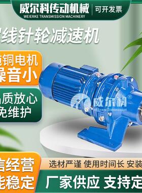 泰兴卧式/立式摆线针轮减速机BWD2/BLD2直连电机2.2W3W4W铜