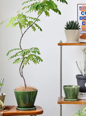 北欧变YX-HJD04陶瓷花盆日式创意号性苔藓球渐变个绿色花釉盆大工