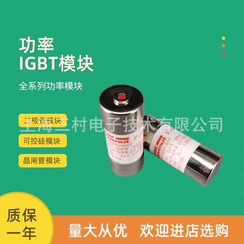 全新熔断器保险丝FR10AM40V2PtZ084984 FR10AM40V4PtY085259