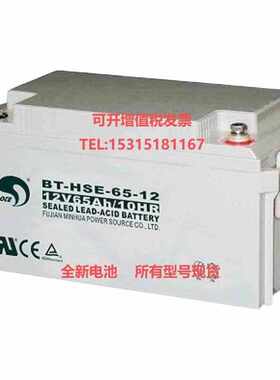 赛特蓄电池12V65AH直流屏BT-HSE-65-12机房UPS/EPS海湾消防主机