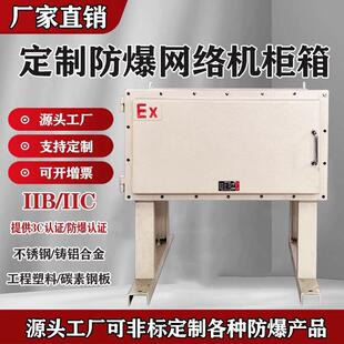 防爆网络机柜箱监控网络弱电柜6u仪表电气柜9U-42U落地柜24口交换