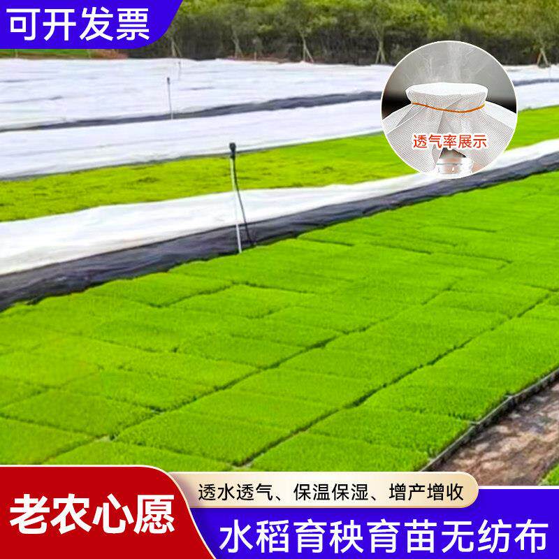 农业育苗无纺布水稻盘根铺底膜透气保湿育种覆盖草籽抗老化育秧布