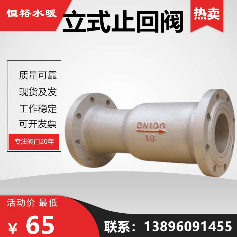 H42S-16铸铁卧立式止回阀高温蒸汽锅炉管道法兰单向止逆阀-DN100