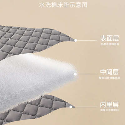 五星级酒店专用床垫舒适保护垫床垫隔脏垫可水洗床护垫床褥子批发