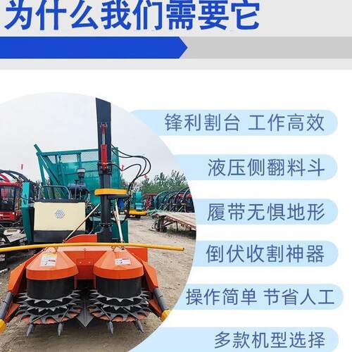 圆盘割台青储机自走式牧草玉米秸秆皇竹草小型青贮粉碎收割一体机