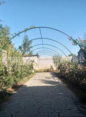 拱形管攀爬架果花架花钢XKK植物卉阳台葡萄藤蔓花架大棚骨架蔬爬