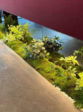 仿真绿植组合长条造景室内玄关墙角花槽植物装饰商场橱窗苔藓摆件