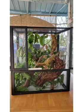 出口网箱一批大约700个 适合实体店 繁殖自用 R属守宫46*30*51cm