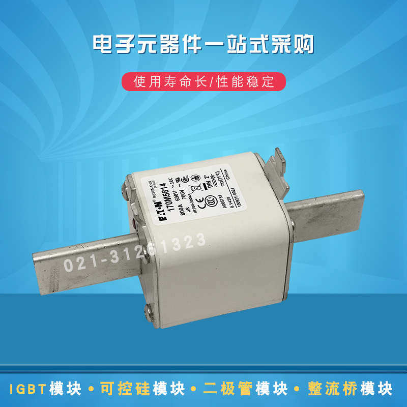 快速熔断器保险丝170M5817 5820 5847 5874 5875 5876 5881 5882