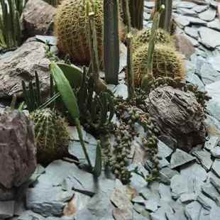 岩片石片原生溪流云片石乌龟晒台虾三湖躲避石水陆缸阶梯微景观石