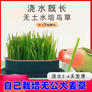 鹦鹉饲料发芽鸟草盒混合粮种子粮发芽粮玄风牡丹虎皮鸟粮食滋养丸