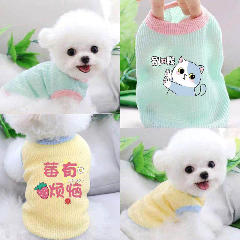 宠物狗狗衣服春夏泰迪博美比熊贵宾小型幼犬猫猫咪背心防掉毛薄款