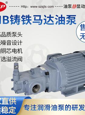 NOP同款TOP-N0FBM齿轮抽油泵电机TOP-20/0/40HB电动油泵