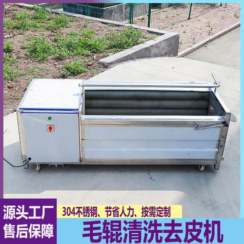 毛辊清洗机土豆红薯生姜洋芋胡萝卜大枣去泥设备猪蹄去皮机食品级