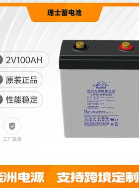 LEOCH理士蓄电池DJ200 通讯基站 2V200AH 直流屏 机房设备电池