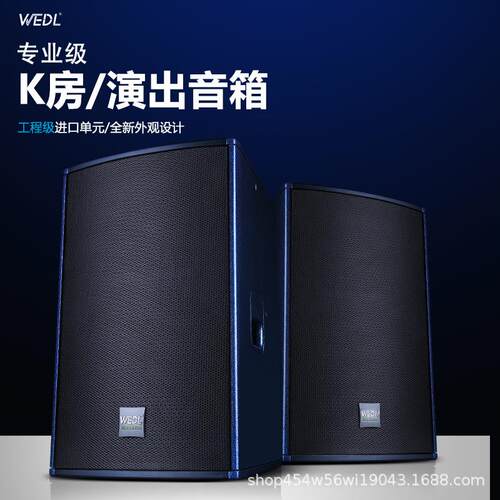 德V国WEDL专业10寸12寸房音响家庭K歌T唱娱乐包打碟房大功率LRC音