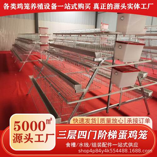 热镀锌阶梯蛋鸡笼自动化框架式育雏笼三层四层立体防锈养殖肉鸡笼
