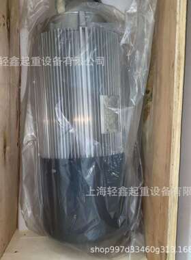 科尼起升电机 MF10Z-106N161P85025E-IP55 52262304 3.6KW