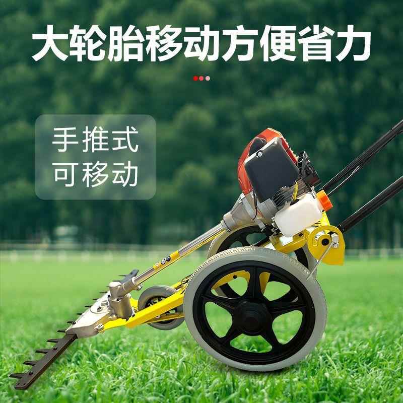 汽油机割草机手推式汽油修剪机除草机小型手推多功能修剪草坪机器
