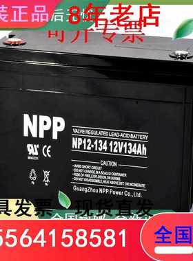NPPNP12-135 12V135AH直流屏UPS电源EPS应急电厂太阳能