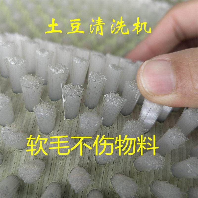 毛辊去皮清洗机 小型食品加工设备 包装袋喷淋式清洗设备 全自动