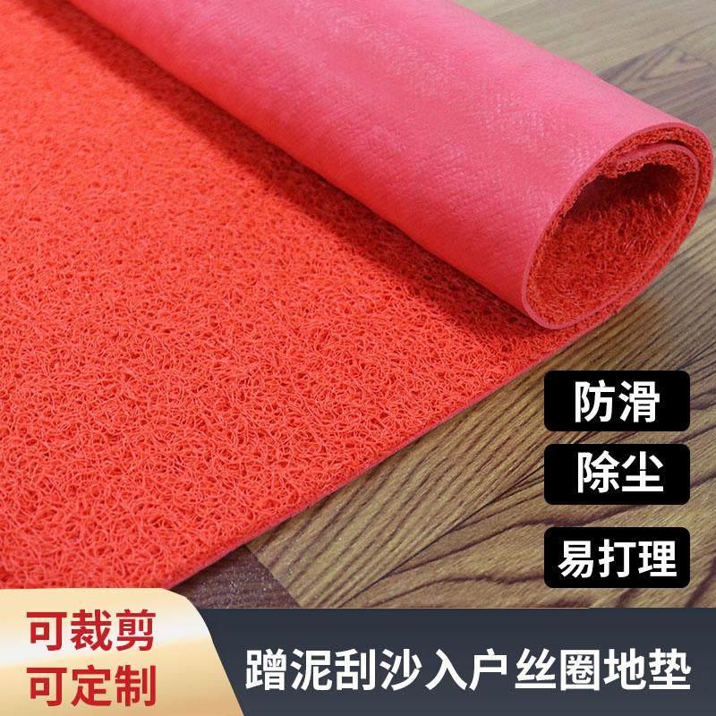 B料C料3A塑料pvc喷丝地垫加厚进门垫酒店迎宾 防滑防水地毯可剪裁