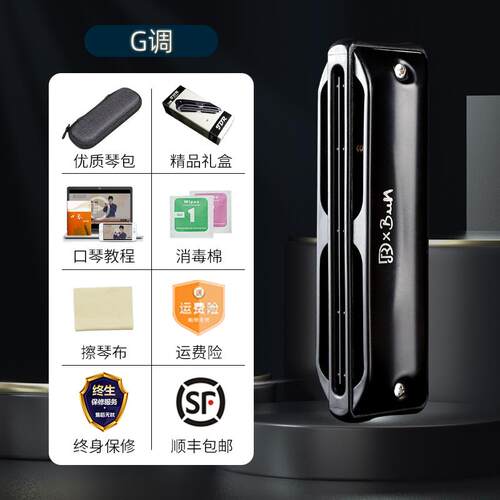 高档JDR嘉德瑞ssasin刺客A布斯蓝调十孔口琴s1鲁0孔C调专业演奏pa