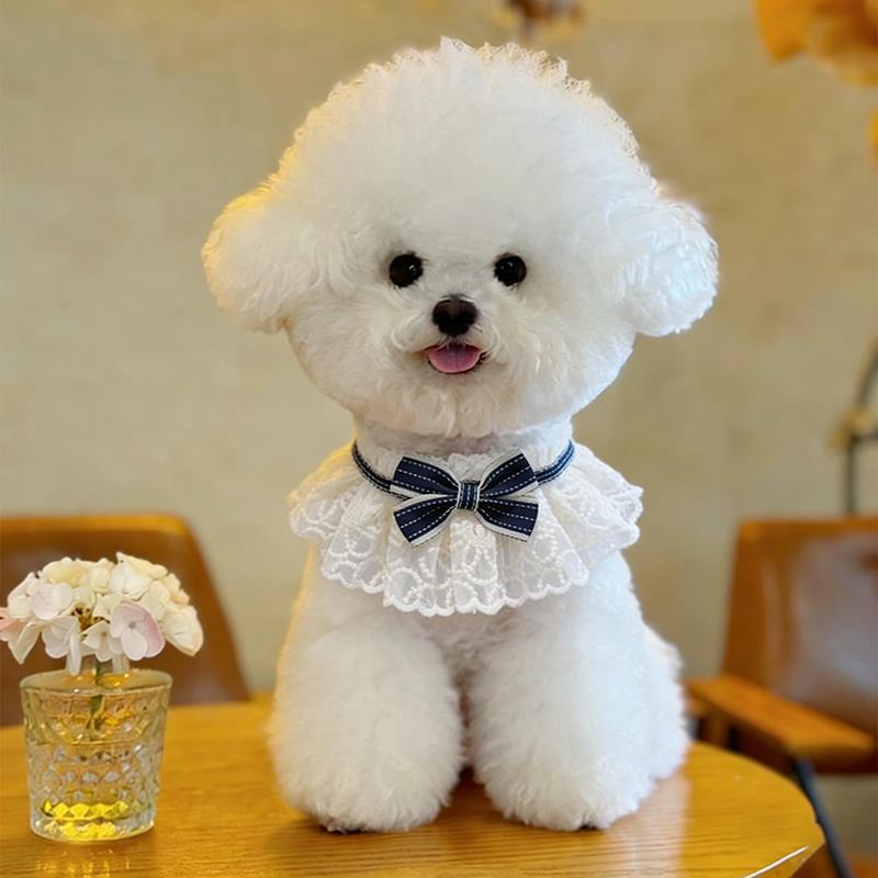 狗狗口水巾围脖小狗围兜小型犬蕾丝花边蝴蝶结可爱颈饰高颜值围兜