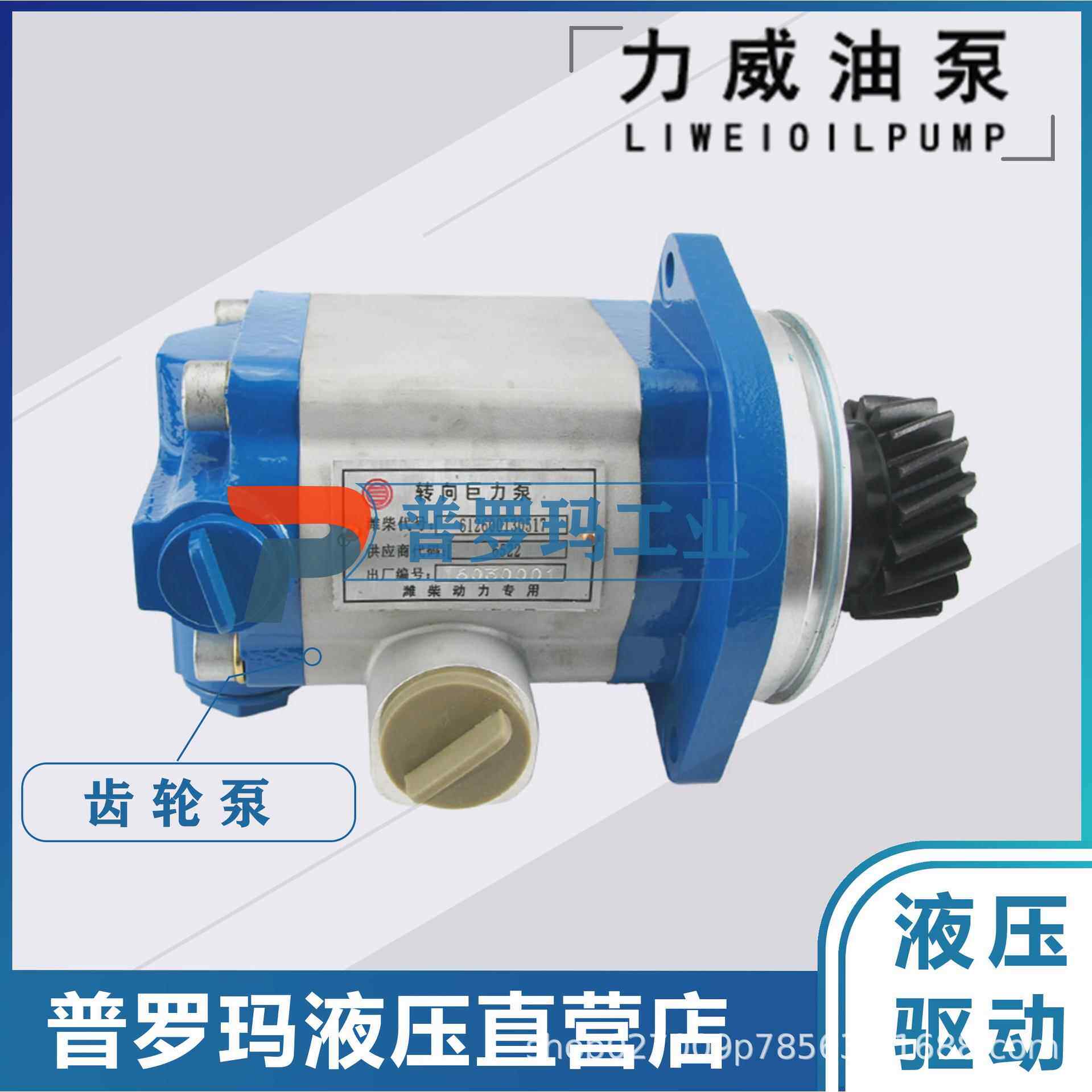 合肥力威 QC20/15-WP6 汽车油泵 合肥天力 动力泵转向齿轮泵图片